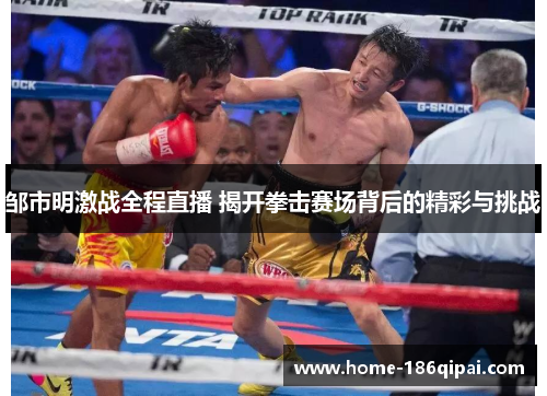 邹市明激战全程直播 揭开拳击赛场背后的精彩与挑战 邹市明激战全程直播 揭开拳击赛场背后的精彩与挑战